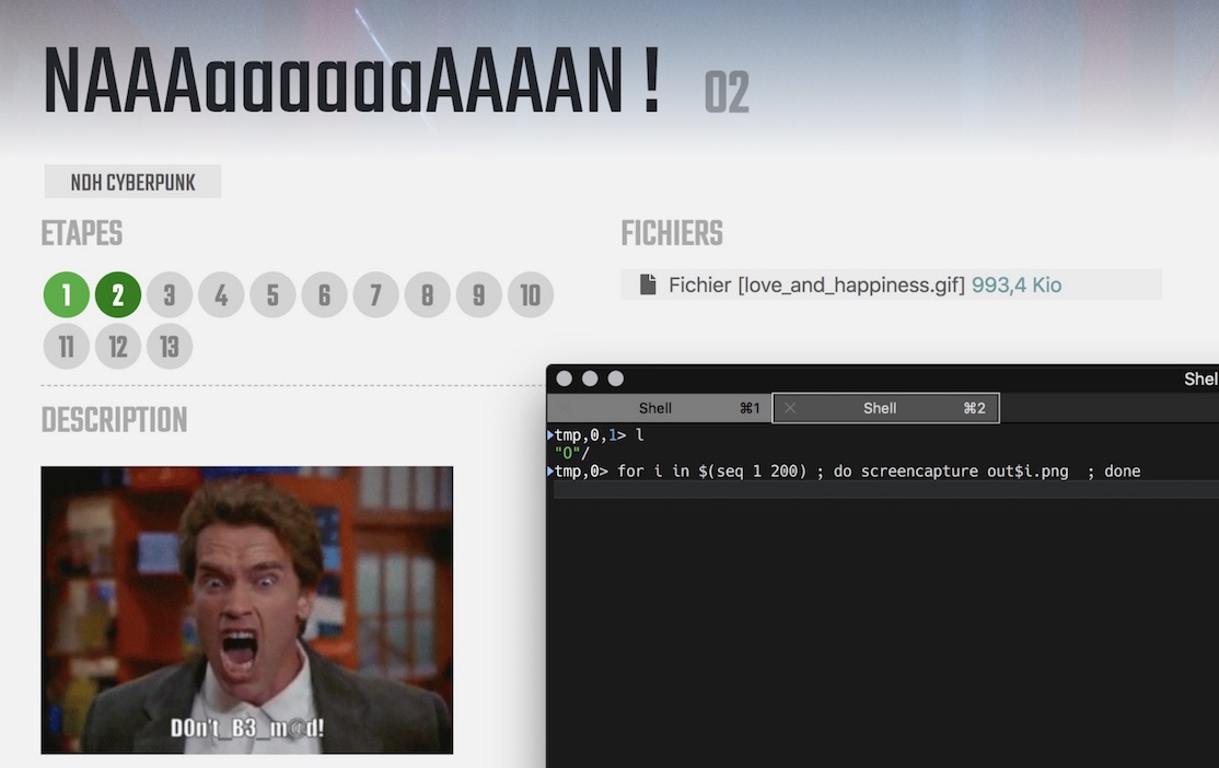 files/ndh2k18/10-chall-screenshot.jpg