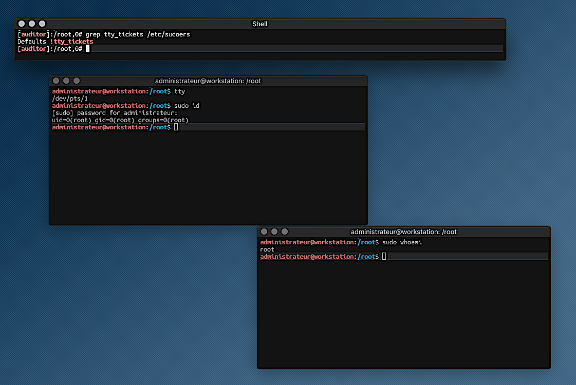 files/sudo/sudo-tty_tickets-02.png